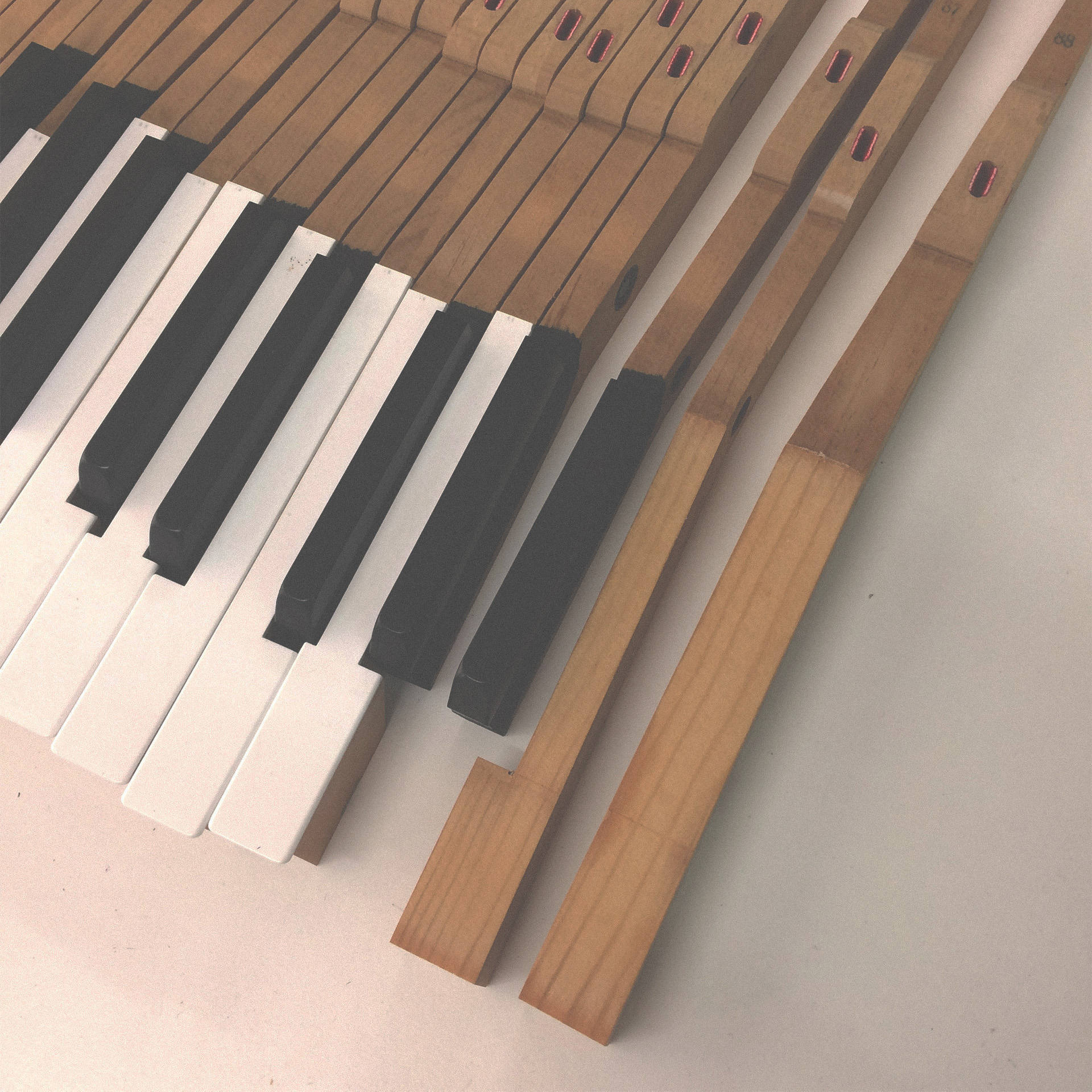 メインビジュアル画像